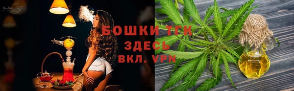ешки Дмитриев