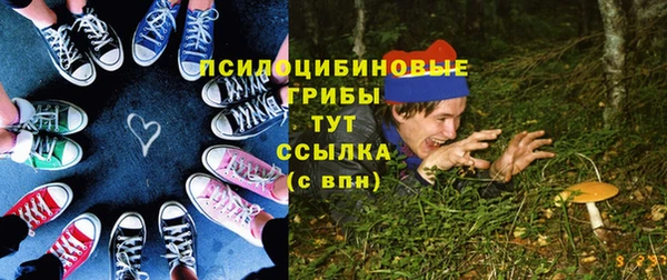 дмт Дмитровск