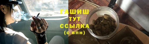 СК Дмитров