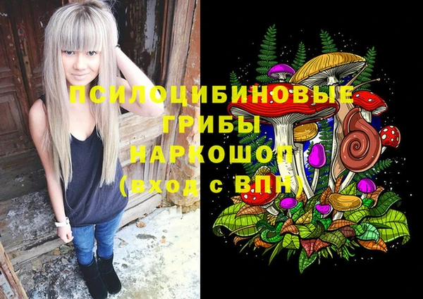 СК Дмитров