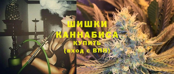 ешки Дмитриев