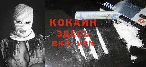 ешки Дмитриев